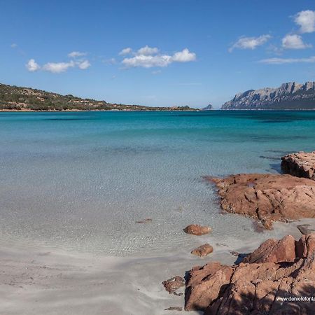 Aria Di Vacanza - Gelsi Olbia Exteriér fotografie
