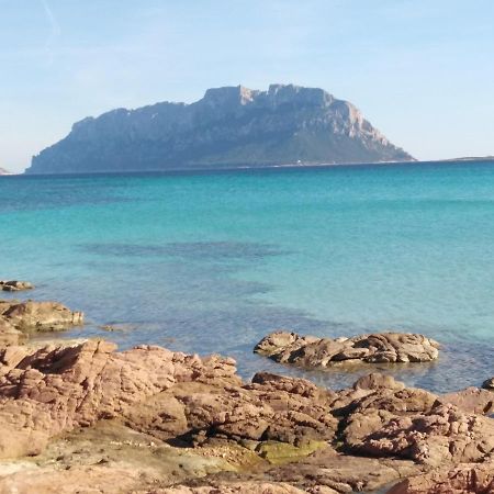 Aria Di Vacanza - Gelsi Olbia Exteriér fotografie